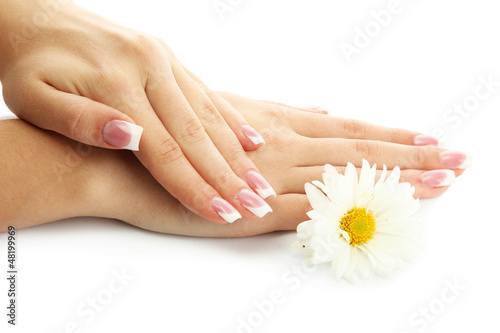 Fototapeta Naklejka Na Ścianę i Meble -  Beautiful woman hands with camomile, isolated on white