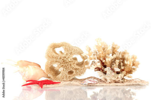 Obraz na płótnie Loofah isolated on white