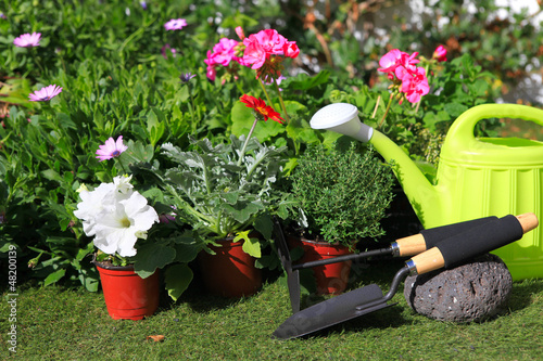 planting flowers with garden tools ,various flowers and herbs in © irabel8