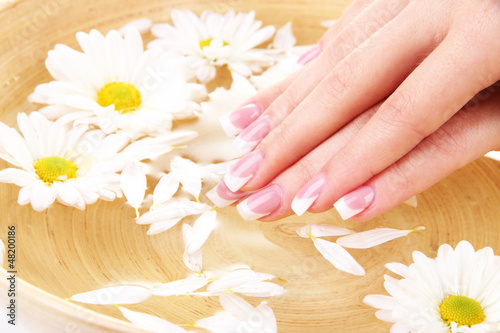 Fototapeta Naklejka Na Ścianę i Meble -  Woman hands with french manicure and flowers in bamboo bowl