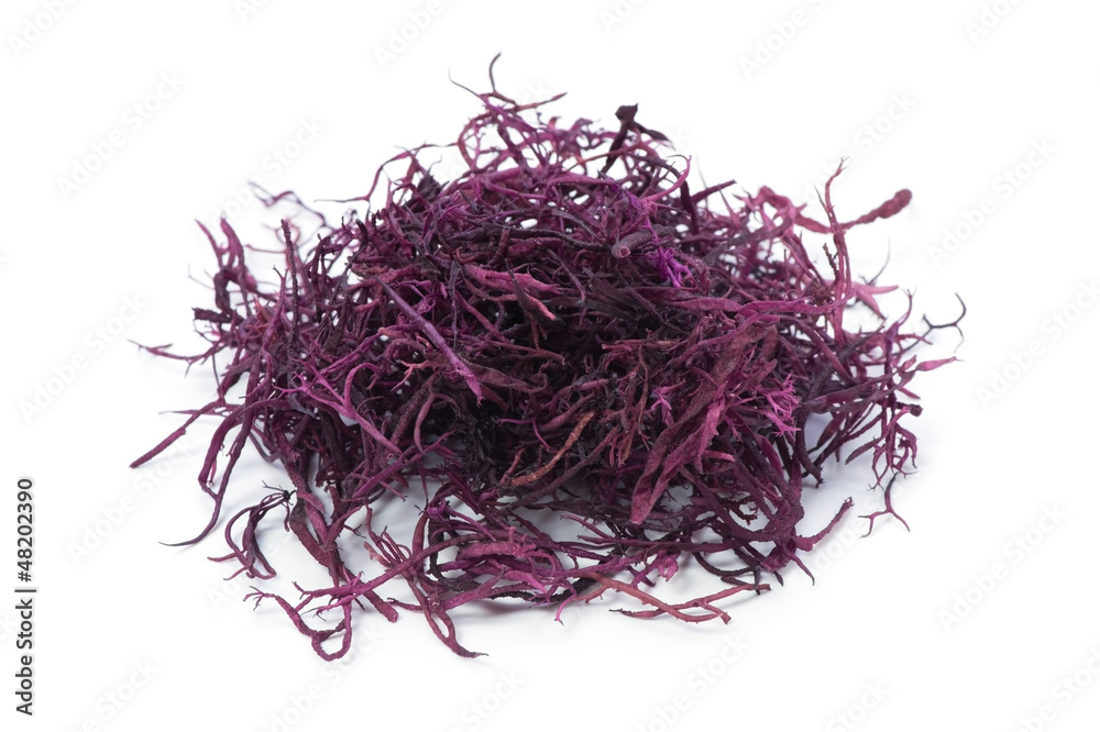 Fototapeta premium ふのり