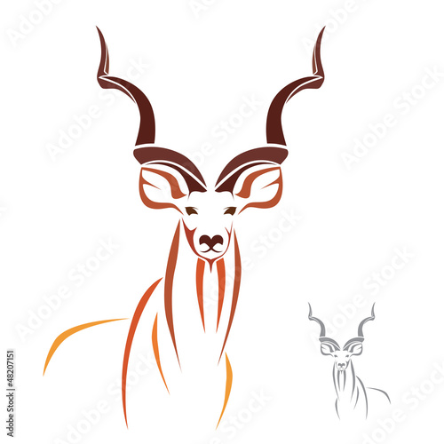 Vector of Greater Kudu on white background. Animals. photo