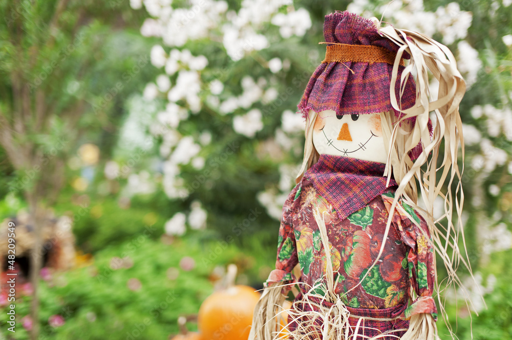Scarecrow in garden Scarecrow in garden