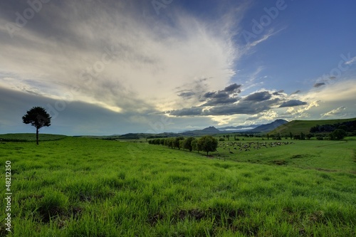 UMZIMKULU VALLEY FARM SCENE photo