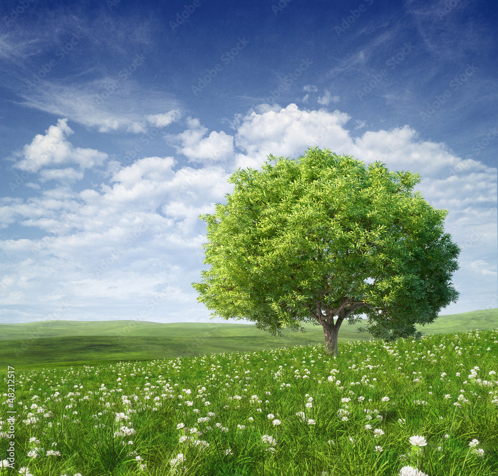 Summer landscape with green tree - obrazy, fototapety, plakaty 