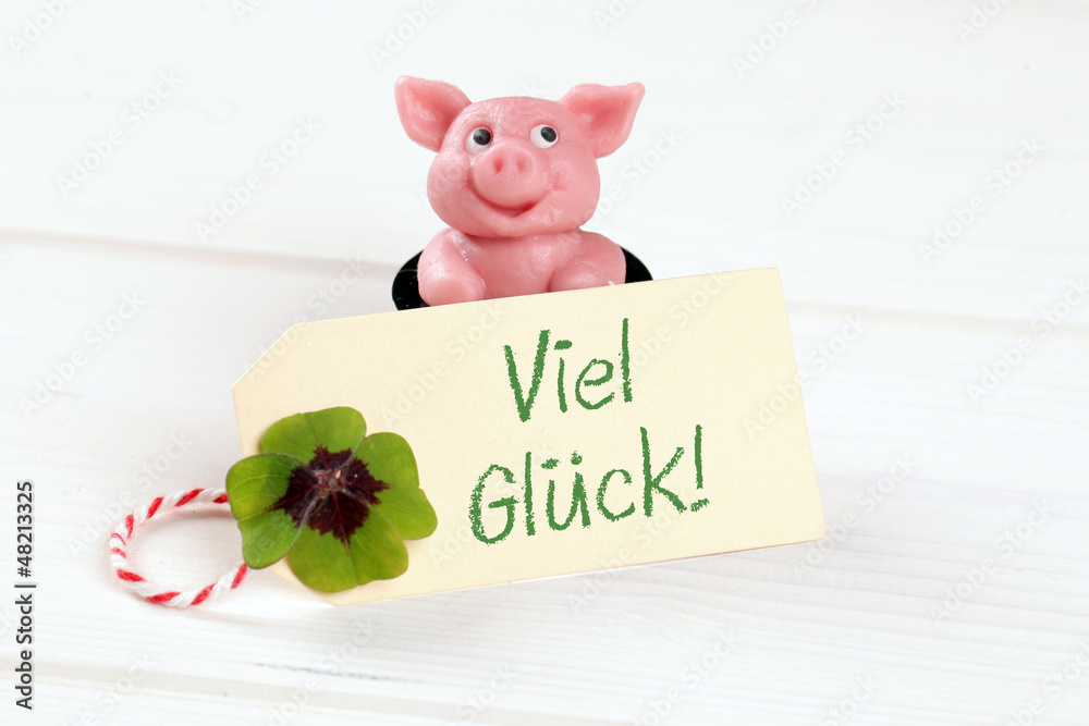 Schwein mit Viel Glück Karte StockFoto Adobe Stock