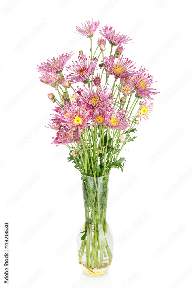 Beautiful flowers in vase  isolated on white
