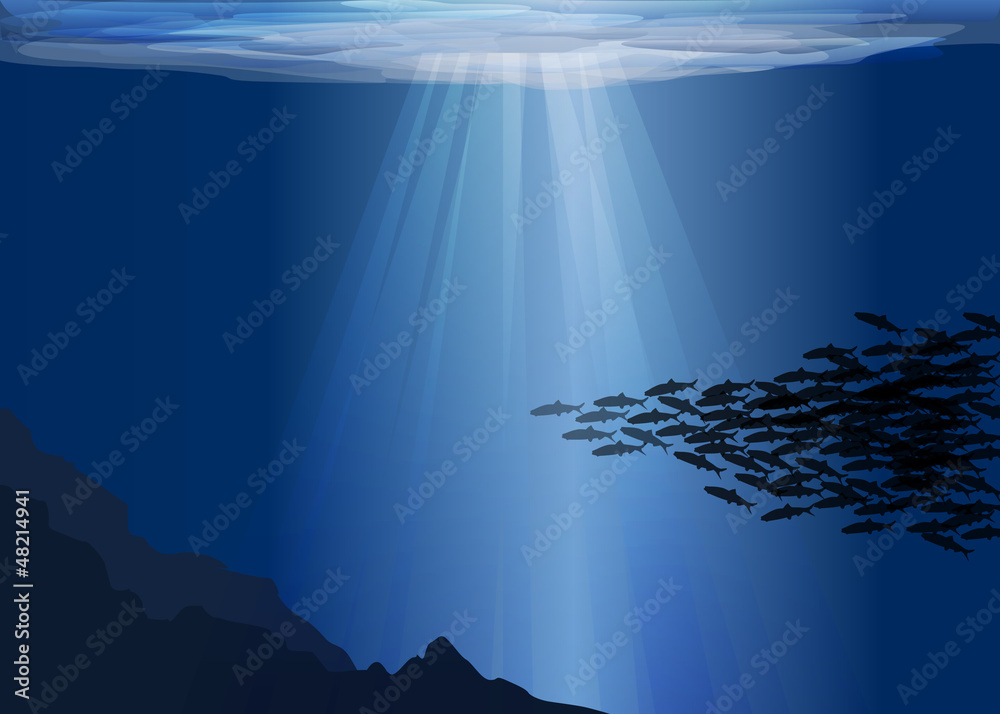 Mer_banc de poissons