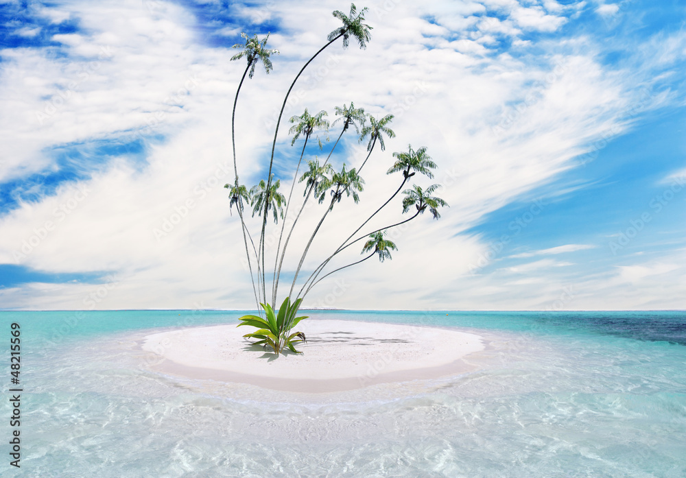 Poster ARTTOR 70x100cm – Plage Palmier Mer – Décoration Murale