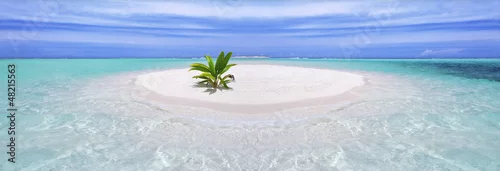 Obraz  z motywem Tropical island with palm