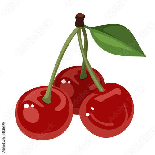 Three cherries. Vector illustration.