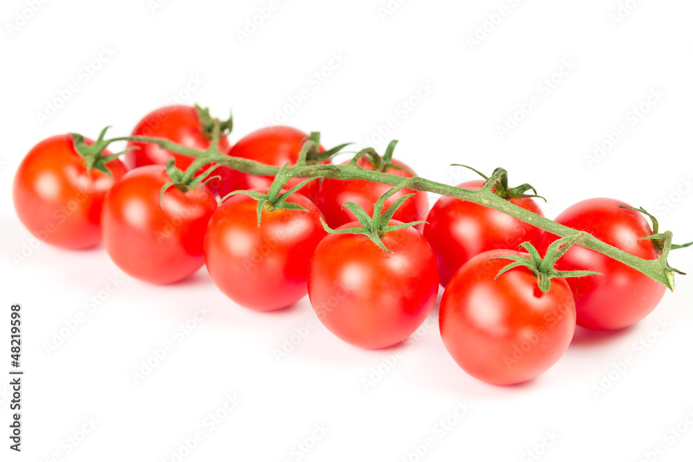 cherry tomatoes on a branch cherry tomatoes on a branch