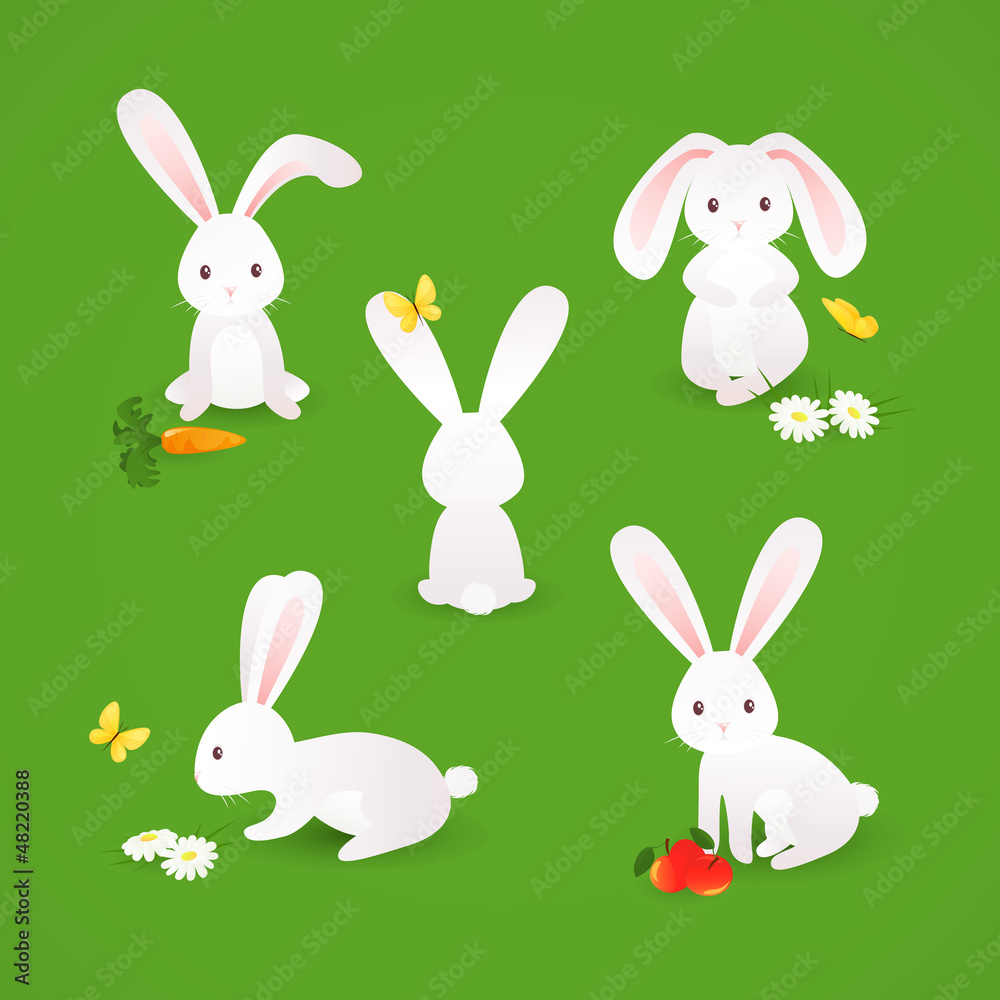 Cute bunnies Cute bunnies