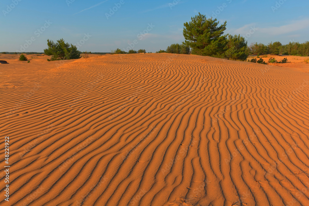 Naklejka premium sandy desert