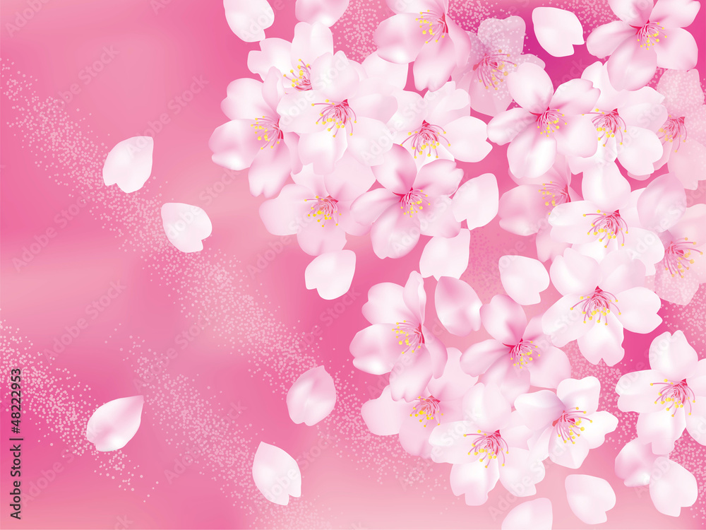 桜ふわり　ピンクぼけ
