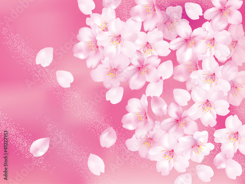 桜ふわり　ピンクぼけ