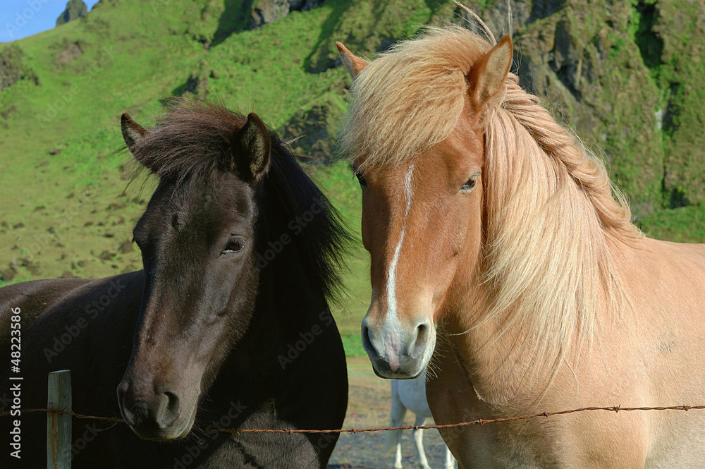 Obraz premium nero e bianco