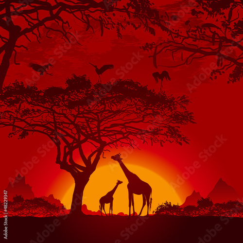 African sunset