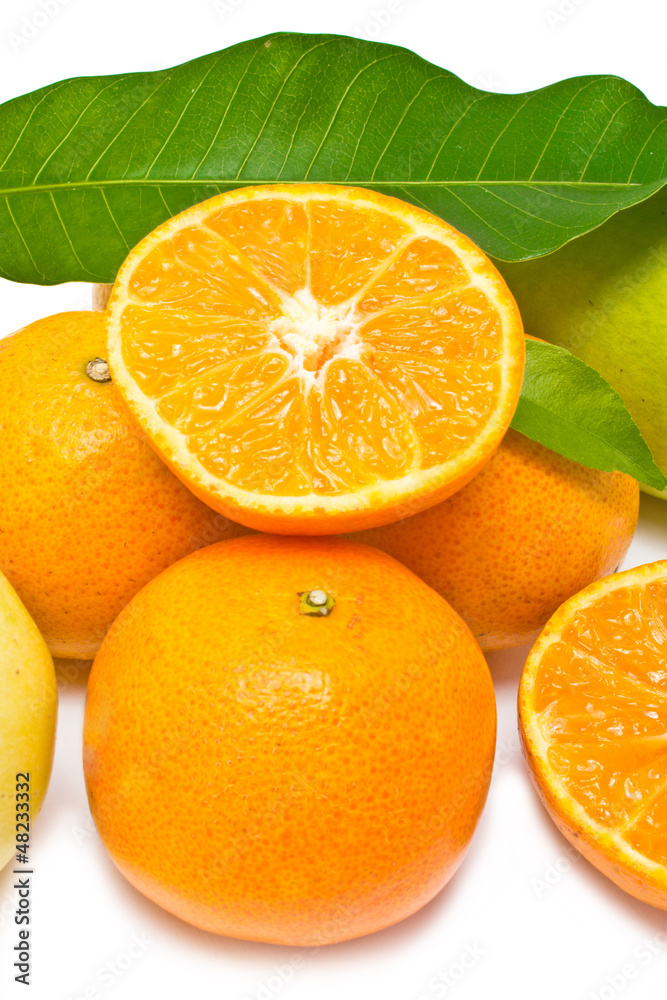 Oranges collection isolated on white background. Oranges collection isolated on white background.