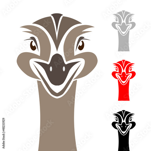 Head ostrich on a white background - vector