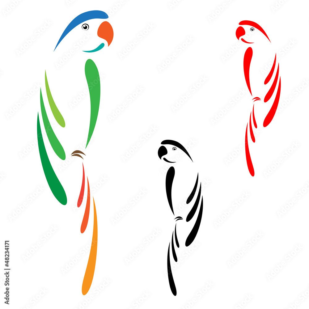 Naklejka premium Parrot