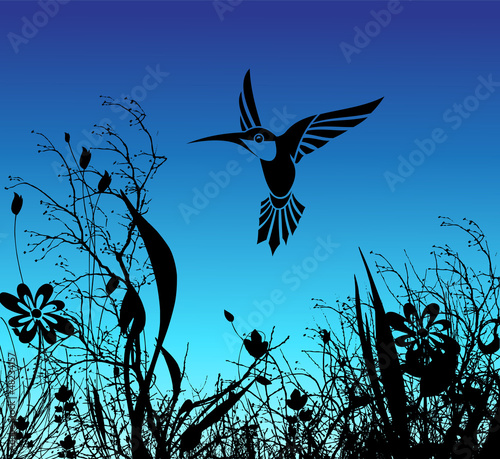 humming bird and flower