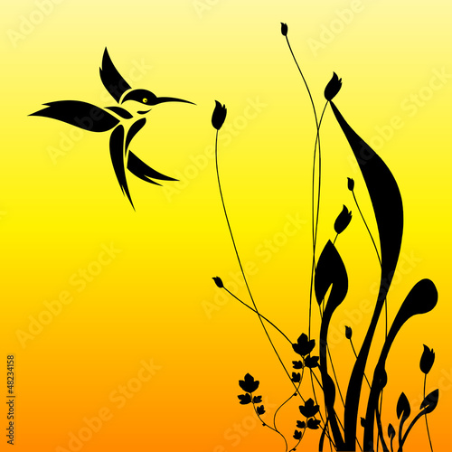 humming bird and flower