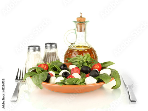 cheese mozzarella with vegetables in the plate with fork and photo