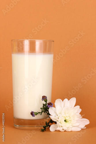 Glass of fresh new milk with white flower on brown background