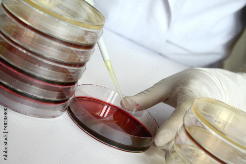 研究(微生物)イメージ 研究(微生物)イメージ