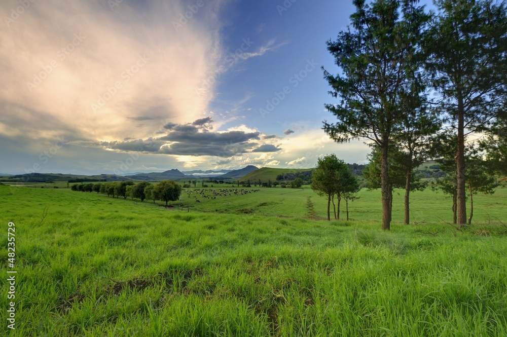 Obraz premium UMZIMKULU VALLEY FARM SCENE