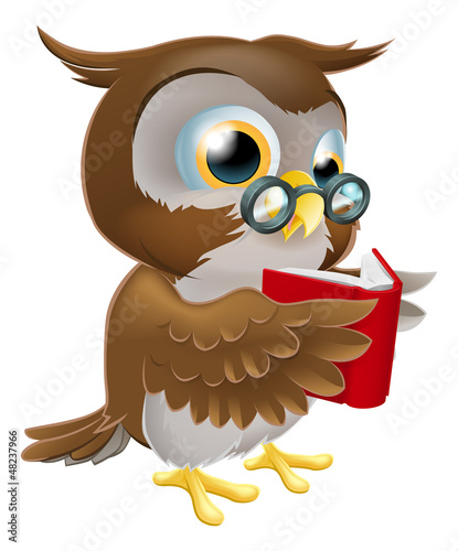 Cartoon Owl Reading a Book