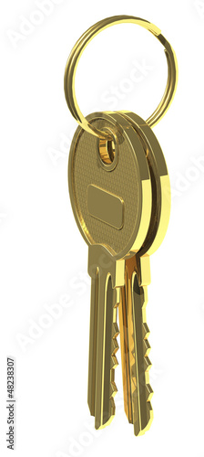 two golden keys