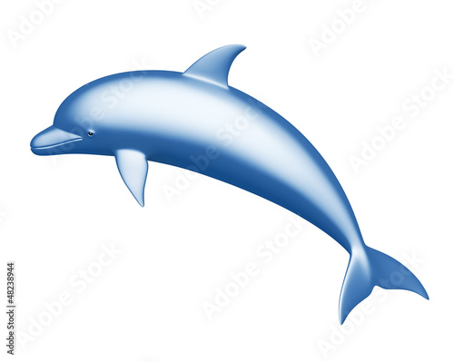 Dolphin on a white background