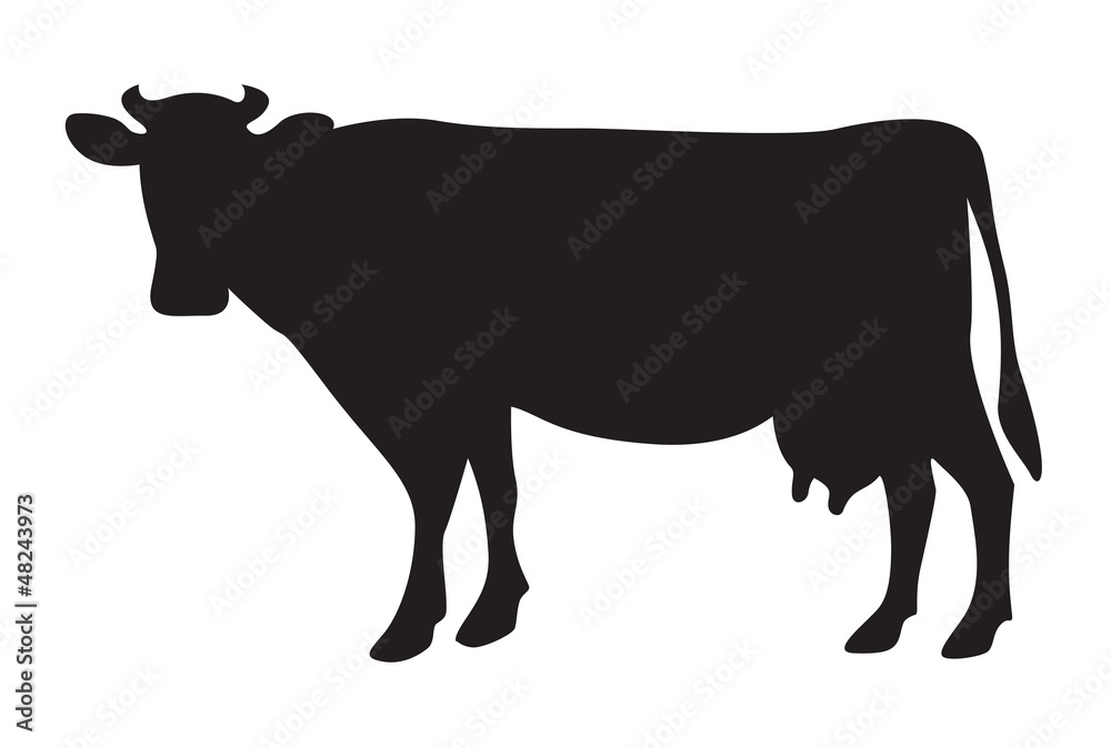 Cow silhouette isolated on white Cow silhouette isolated on white