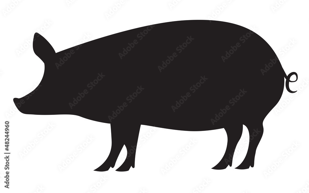 Pig silhouette isolated on white Pig silhouette isolated on white
