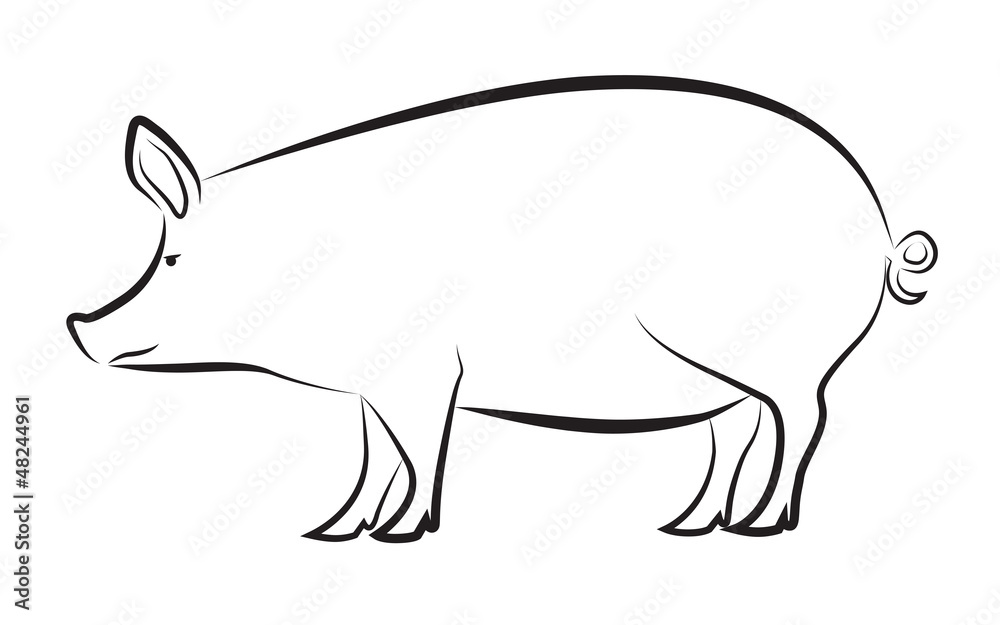 Fototapeta premium Pig isolated on white