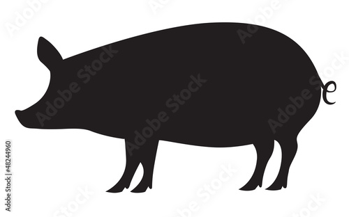 Valokuva Pig silhouette isolated on white