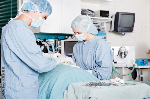 Veterinarian Doctor And Female Assistant Performing A Surgery