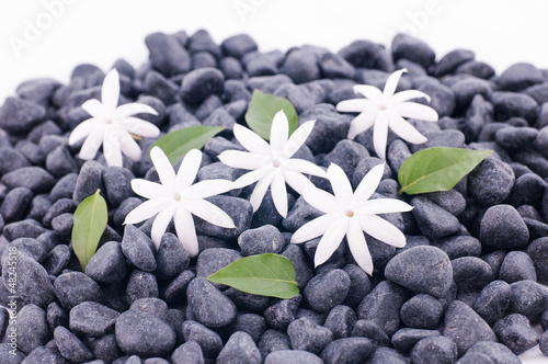 Jasmine flowers and leaves on zen stones