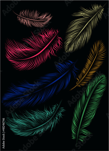 Set of colorful feathers