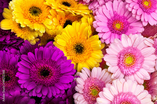 Bouquet of lilac  pink and yellow gerberas.