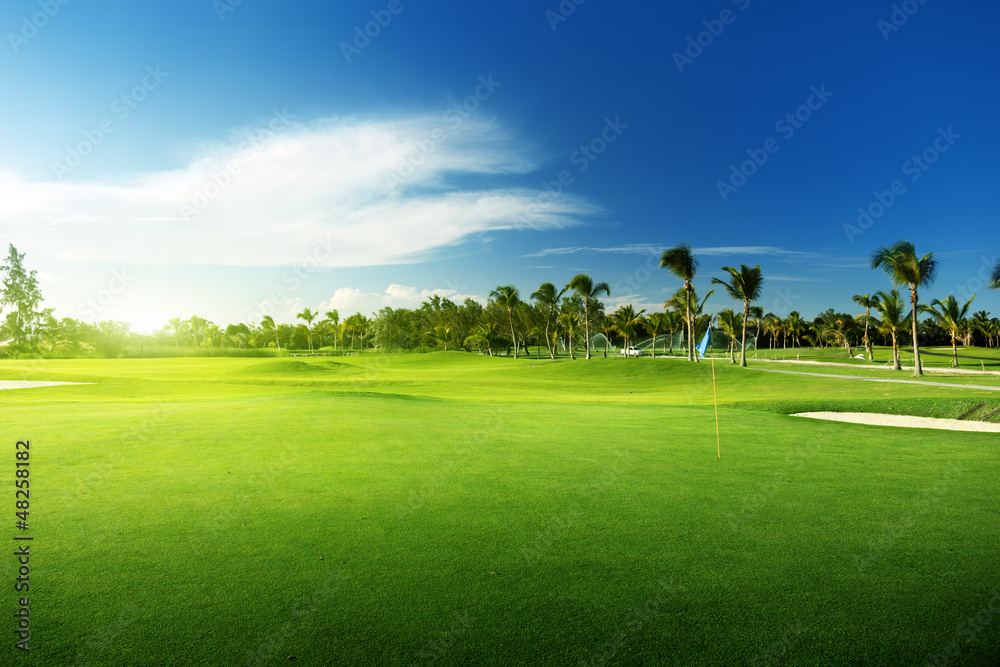 Fototapeta premium golf course