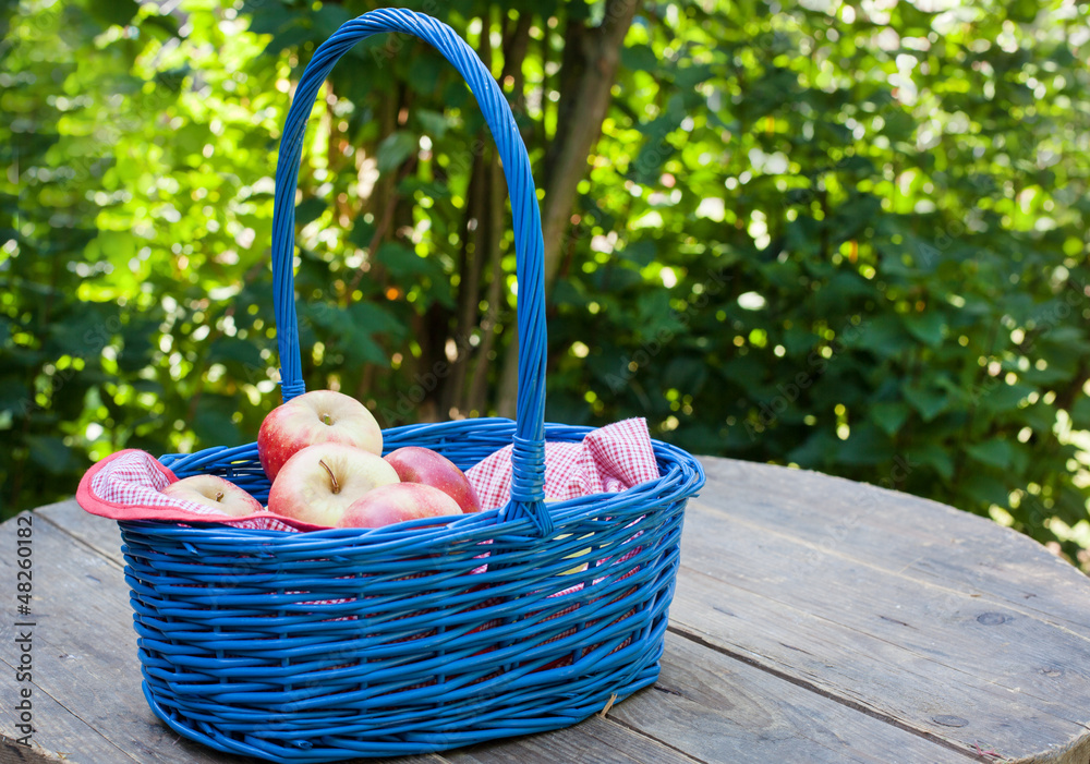 Basket with fresh red and yellow apples Basket with fresh red and yellow apples