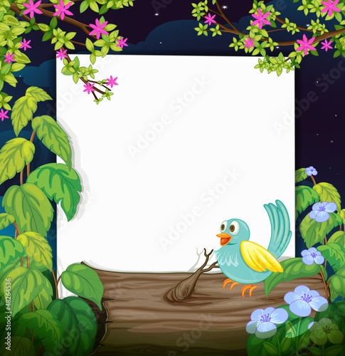 A bird and a white board