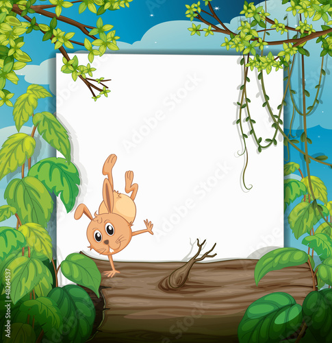 A dancing rabbit