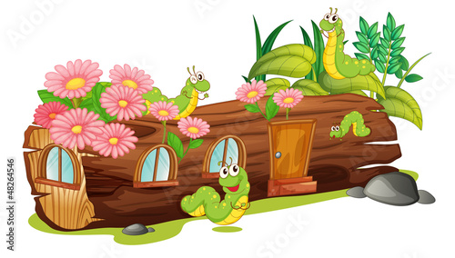 Caterpillars and a wood house