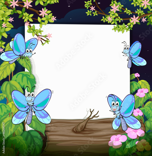 Butterflies and a white board