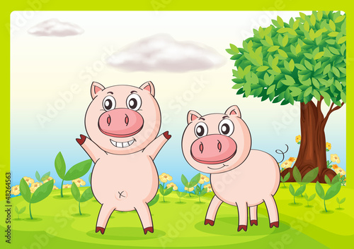 Smiling pigs