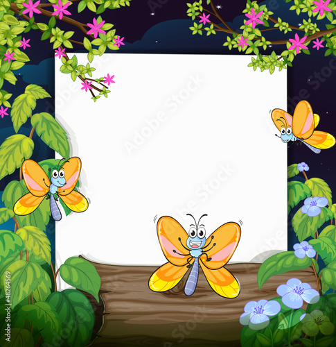 Butterflies and a white board